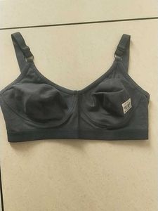 36C Comfortable Everyday Bra(LAJJA)