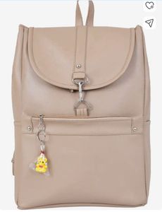 Stylish Backpack