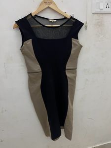 Bodycon Dress From AND
