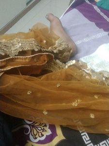 Fancy Party Wear Dupatta
