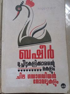 Fiction Novel