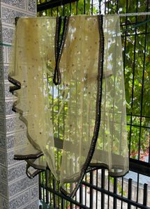 Embellished Dupatta