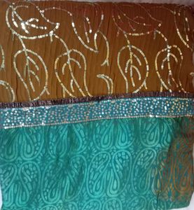 Double Shades Awesome Sari With Blouse