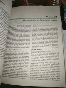 Class 11th NCERT Biology