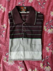 Striped Polo Shirt