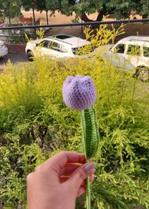 Crochet Tulip
