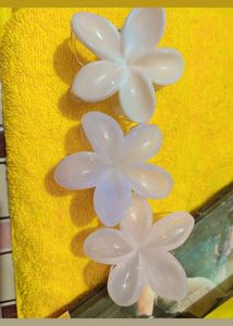 Flower Hair Clips (Set of 3)