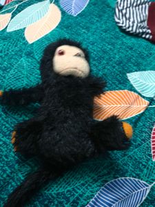 Baby Soft Plushie