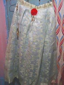 Red &amp; Silver Sari