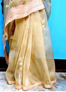 Elegant Embroidered Saree