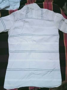 T- Shirt