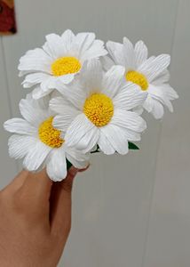 Tulips And Daisy