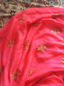 Embroidered Coral Saree