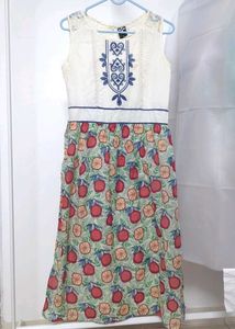 Kurti Dress From Mineral