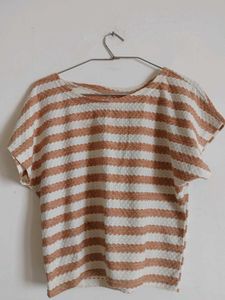 Striped Crop T-shirt(Brown&White)