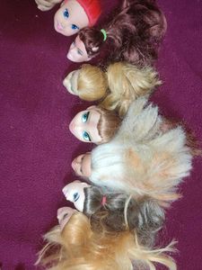 Dolls Head