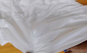 White Cunni Pant For Women
