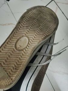 Converse Shoes
