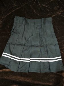 Pleated Skirt with Stripes