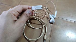 Samsung Wired Earphones