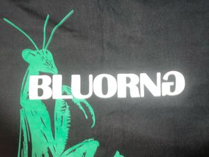 Bluorng Praying Mantis Print Tee