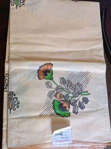 Cream Color Painted Saree