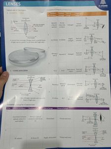 Coloured And Lebelled Charts (2)  Of Class 10Th