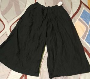 Palazzo Pants