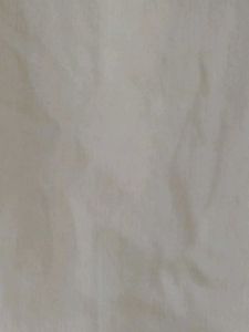 Elegant White Dupatta