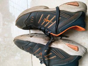 Sport Shoes