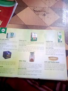 The Art Of Translation (Translations Learning Book