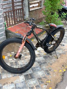 Fire Catcher Fat Tire Bicycle