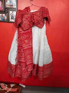 Navratri Chaniya Choli 1