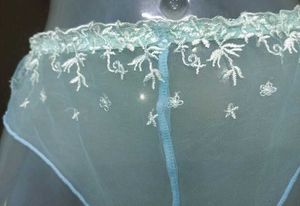 Sheer Blue Floral Panties 💚