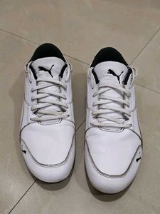 Puma Casual Shoes Ferrari Edition