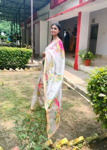 Organza Saree