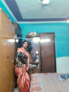 Elegant Traditional Saree