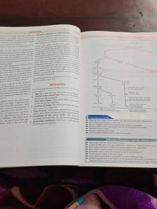 Essential Orthopaedics 7th Edition