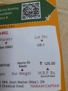 WINTER FLOWERING PLANTS-PORTULACA MIX