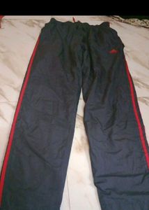 Lower For Daily Wear