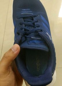 Adidas Blue Sneakers/Sports Shoes