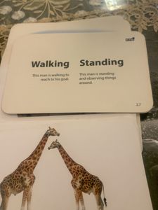 Crazy Flash Cards For Young Kids