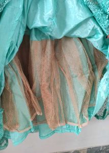 Embroidered Lehenga Skirt