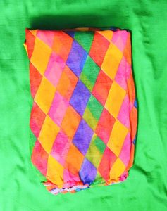 Vibrant Multicolour Chiffon Dupatta