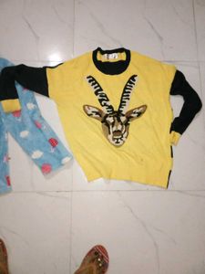 Cute Printed woolen tops