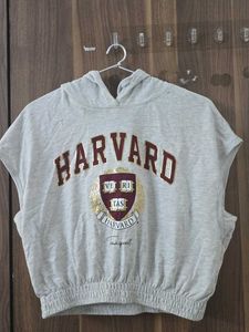 Harvard Graphic Hoody Top