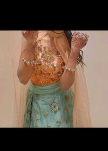 Embroidered Lehenga Choli Set