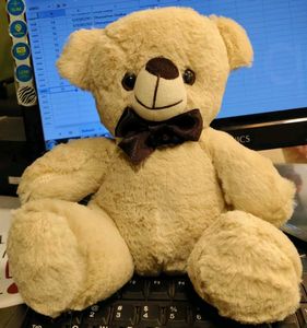 Cute Smokey Teddy Bear