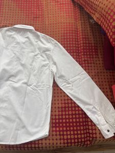 Men&#39;s Button Down Shirt