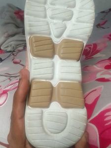 dollphin shoes